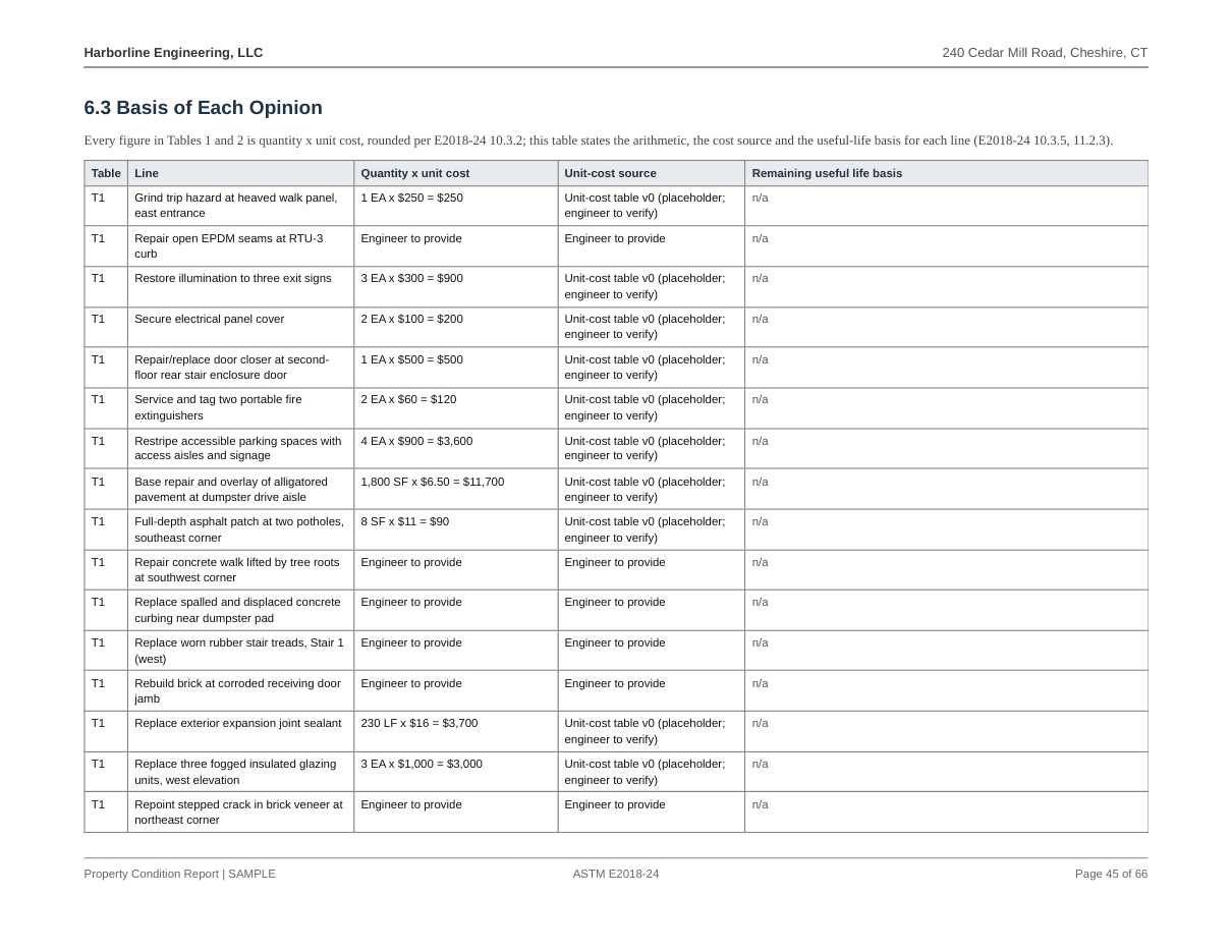 Basis of each opinion sheet from the sample report: quantity times unit cost, source and useful-life basis for every line